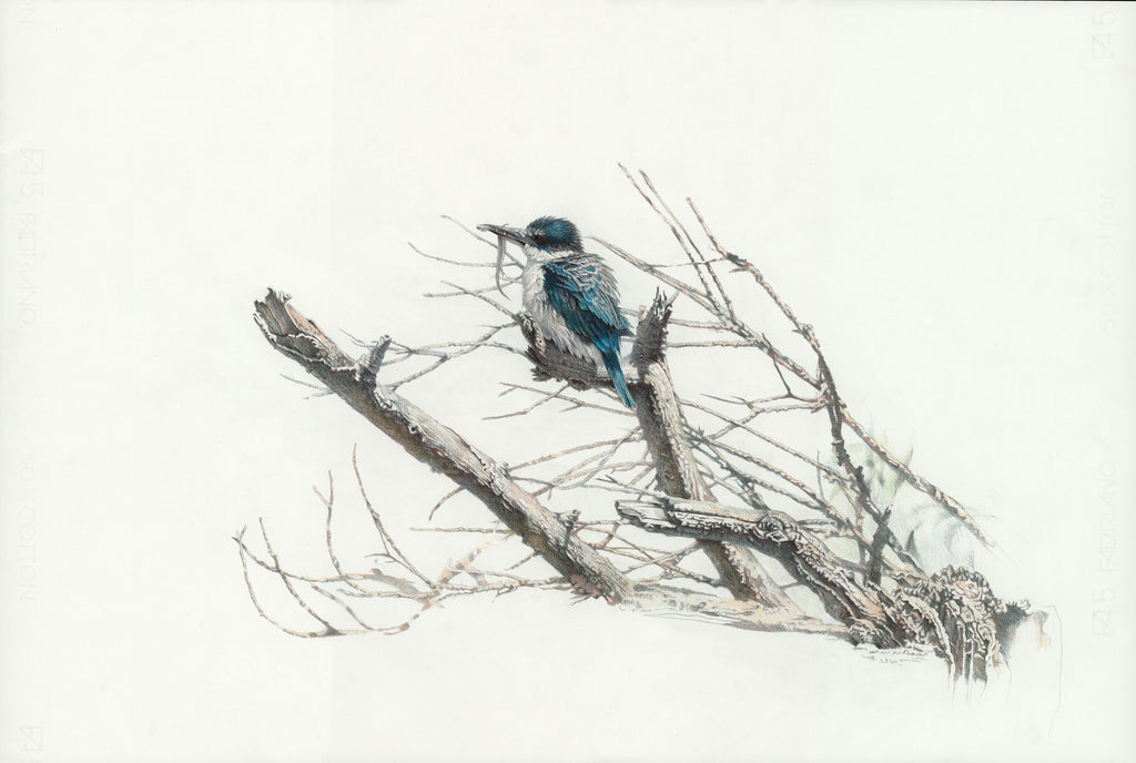 'One For The Road' (Kingfisher)