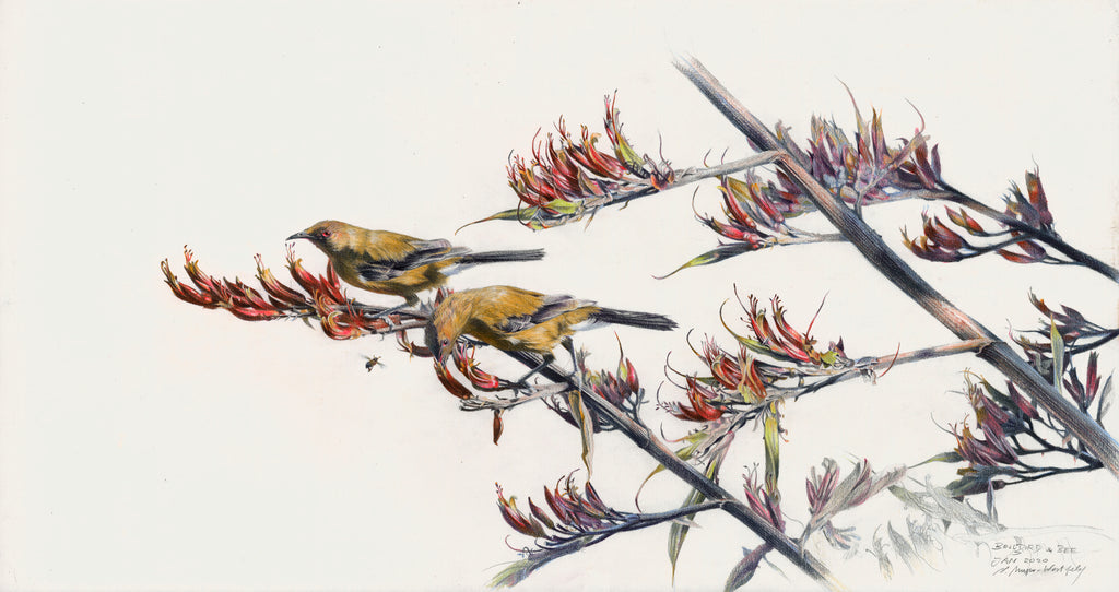 Bellbird and Bee