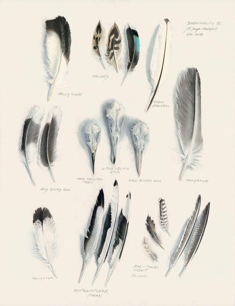 Biodiversity_III