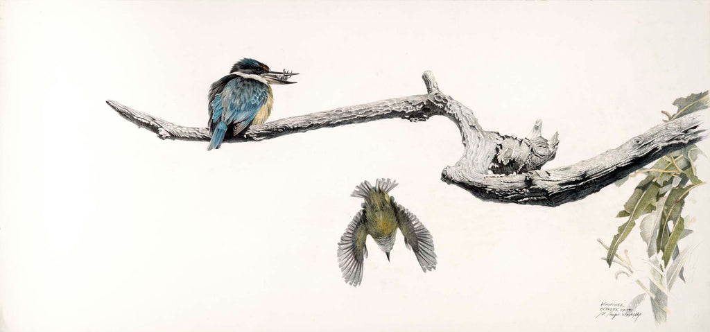 Kingfisher (hunting crabs)
