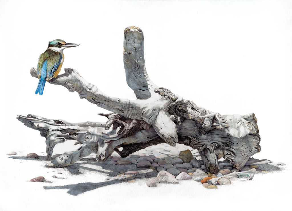 Kingfisher