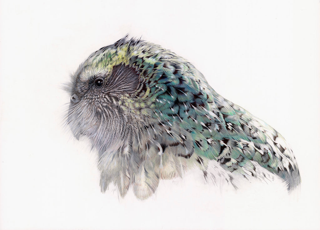 Kapapo (portrait)