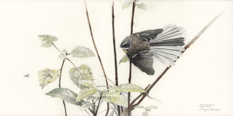 Fantail hunting insect