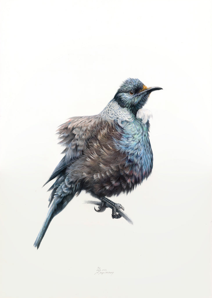Tui