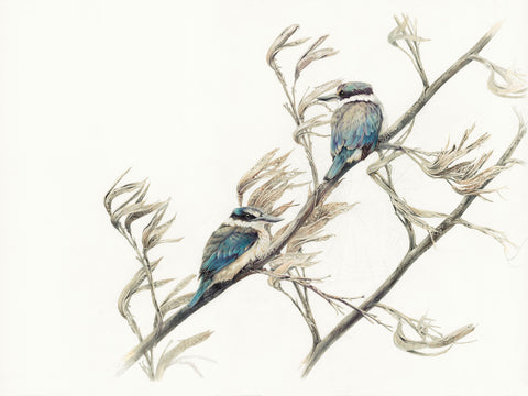 Kingfisher Lookout