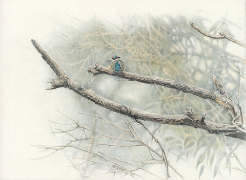 'Misty Morning' (Kingfisher)
